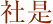 社是