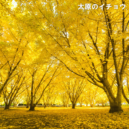 広川町の写真