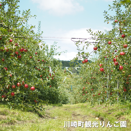 川崎町の写真